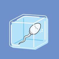 The Sleeping Sperm inside the ice cube. vector