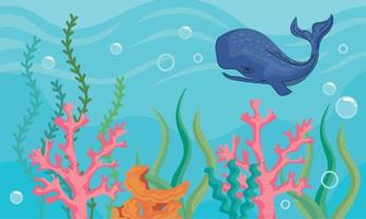 coral reef and whale vector