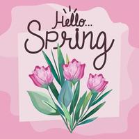 hello spring lettering card vector