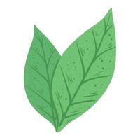 leafs plant green vector