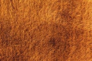 Texture orange wool carpet background photo