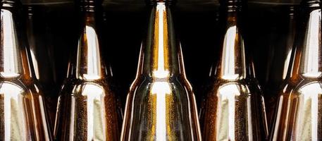 Close up beer bottle in pallet for brewing in industrial plants photo