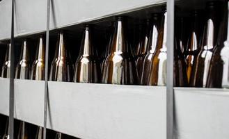 Close up beer bottle in pallet for brewing in industrial plants photo