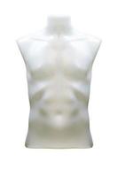 Plastic upper body male mannequin unclothed isolated on white background with clipping path photo