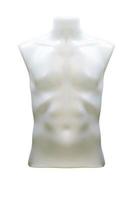 Plastic upper body male mannequin unclothed isolated on white background with clipping path photo