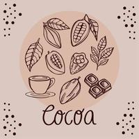 productos de cacao en marco vector