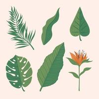 seis iconos florales de la selva vector
