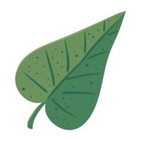 leaf jungle foliage vector