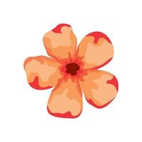 orange flower spring vector