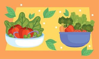 salads in dish and bowl vector