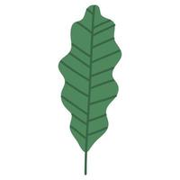 follaje de la planta de hoja vector