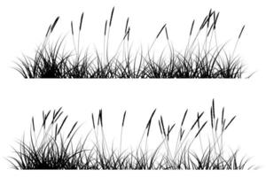 reeds grass silhouette vector