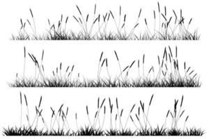 silueta de hierba corta. paisaje de hierba vector