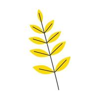 Yellow autumn leaves with veins. Fall rowan foliage season. Decorative botanical item. Simple single sorb tree branch silhouette. Hand drawn flat vector illustration isolated on white background