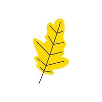 Yellow fresh autumn leaf with veins. Fall oak foliage season. Decorative botanical deciduous item. Simple single oak leaf silhouette. Hand drawn flat vector illustration isolated on white background