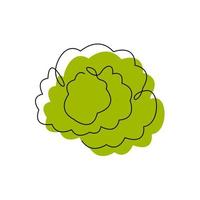 Cauliflower black contour drawing with abstract color spot. White cabbage minimalist silhouette. Continuous vegetable concept design. Green salad hand drawn one line flat vector illustration isolated