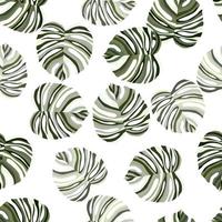 Monstera leaf tropical seamless pattern. palm leaves endless background. Botanical wallpaper. vector