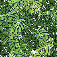 Outline monstera silhouettes seamless pattern. Palm leaves endless background. Botanical wallpaper. vector