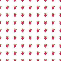 Seamless pattern with pomegranate fruit. Botanical fruits wallpaper. vector