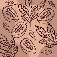 cocoa fruits pattern vector