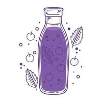 blueberries detox drink icon vector