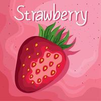 strawberry fresh fruit label vector