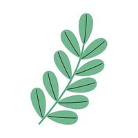 green branch with leafs vector