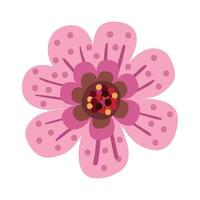 pink flower spring vector