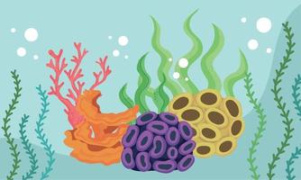 coral reef undersea colorful vector