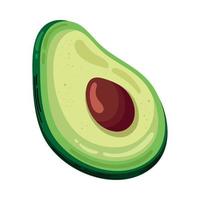 fresh avocado vegetable vector