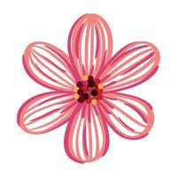 red flower spring vector