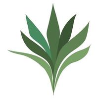 plant with leafs vector