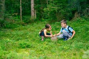 Girl and a boy in boots are sitting and putting mushrooms they found in the forest into a basket photo