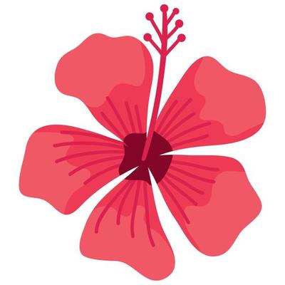 Hibiscus Flower Vector Art, Icons, and Graphics for Free Download