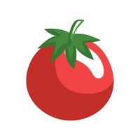 red tomato vegetable vector