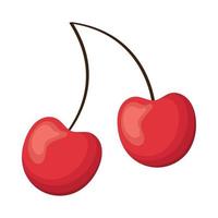 delicious cherry fruit vector