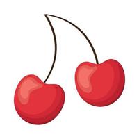 delicious cherry fruit vector