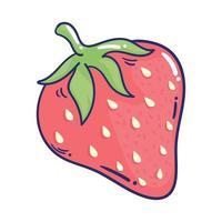 strawberry fresh fruit vector