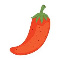 chili pepper fresh vegetable vector