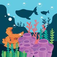 coral reef and whales vector
