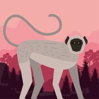 spider monkey in forest vector