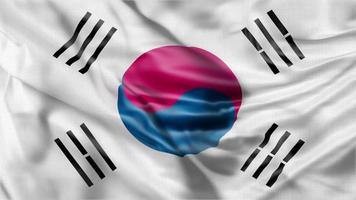 Zuid-Korea golvend vlag animatie. video