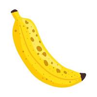 fresh banana fruit vector