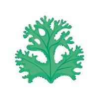 green seaweed sealife vector