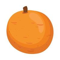 fresh orange fruit healthy vector