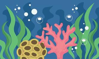 coral reef undersea nature vector