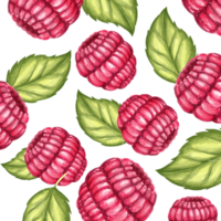 pattern of raspberry png