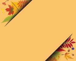 Autumn background paper cut and leaves in corner vector