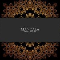 Beautiful mandala design decorative luxury background vector