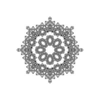 Ethnic decorative mandala design isolated background vector